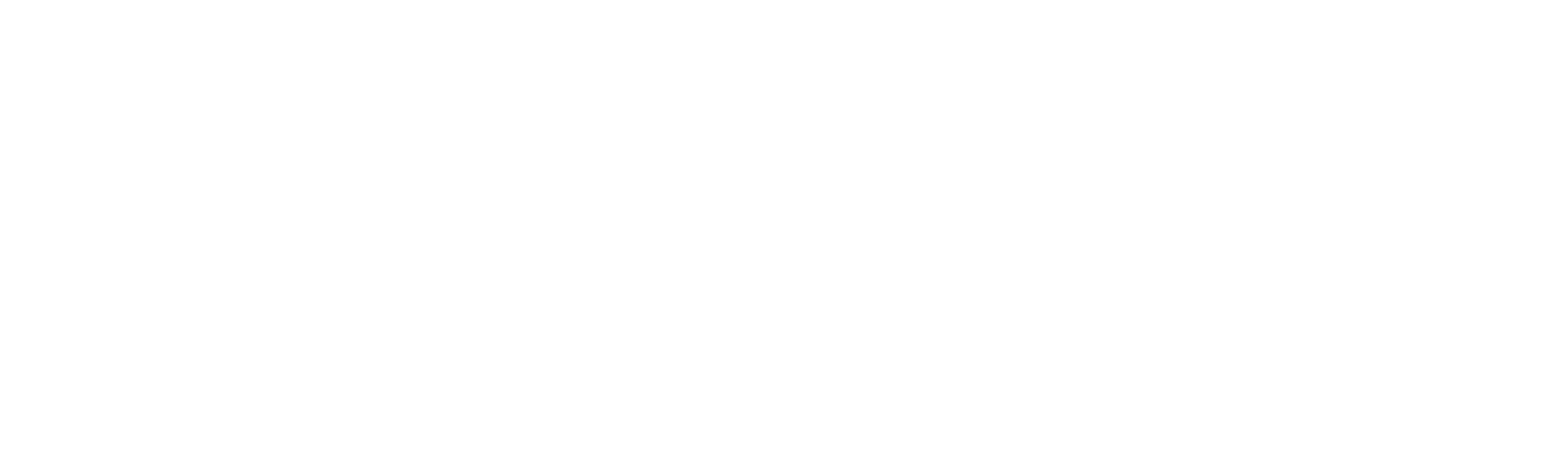 Impact_Medical_Logo_White
